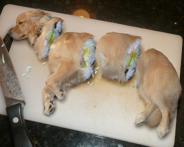 sushi dog