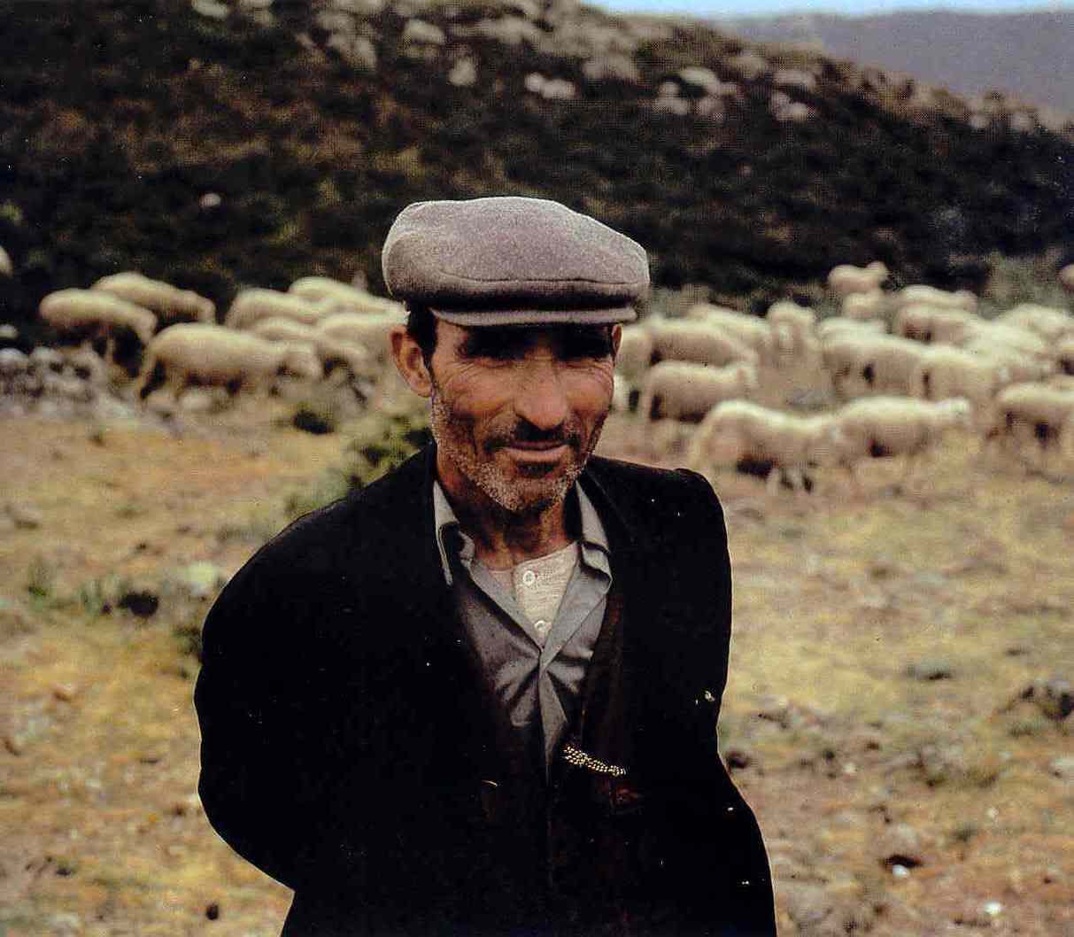pastore con le capre