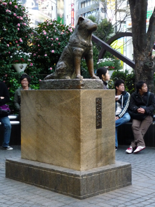 hachiko