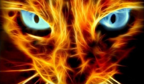 abstract_cat_burning_1366x768