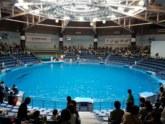 acquario di tokyo