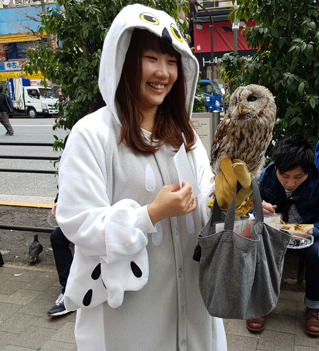 owl bar tokyo