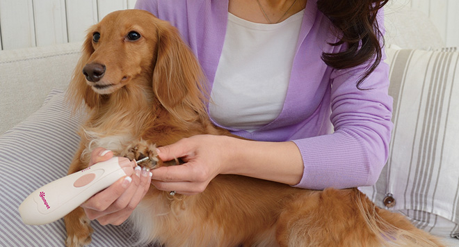 linee cosmetiche per cani