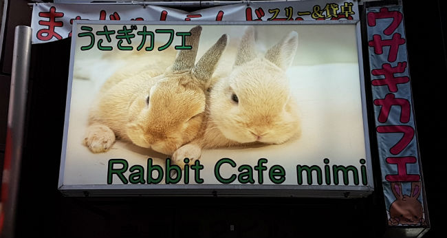 rabbit cafè tokyo