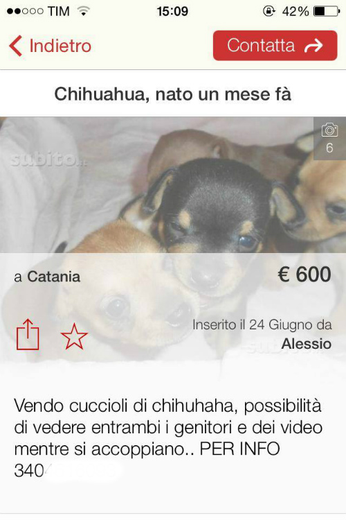 subito.it annunci