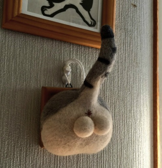 testicoli di gatto