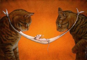 Pawel Kuczynski cat