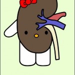 hello kitty kidney