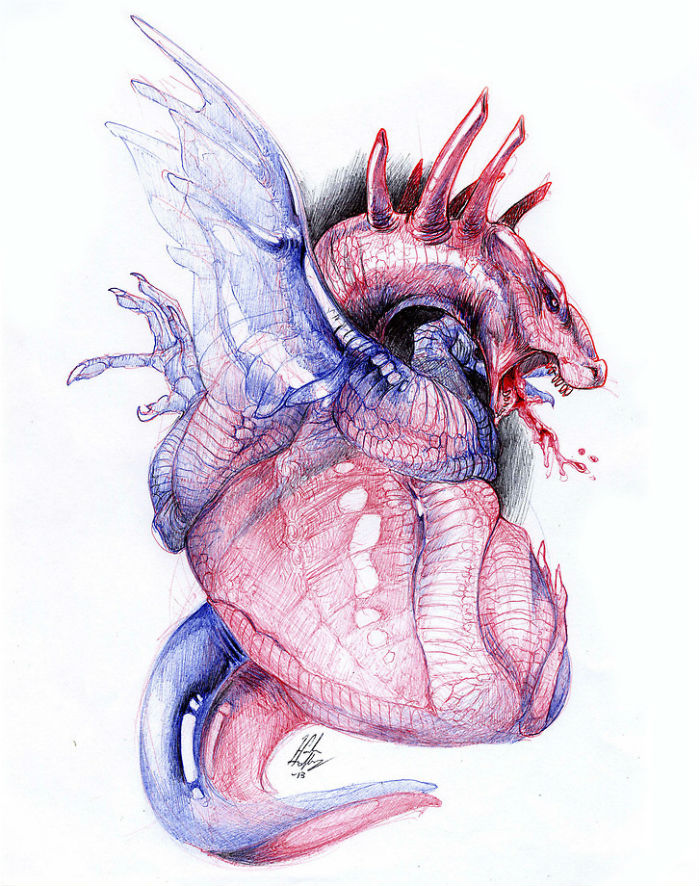 cuore di drago Morphology