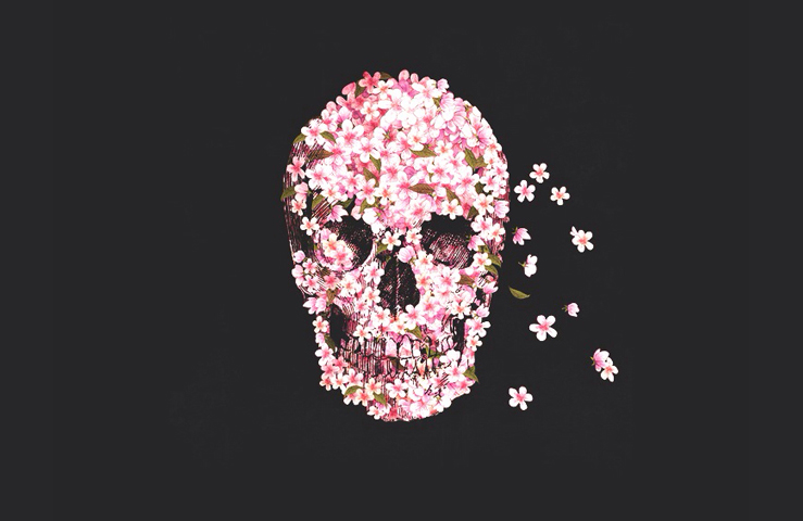 sakura skull